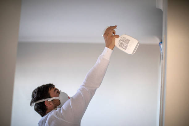 Reliable Camden, AL Mold Removal Solutions